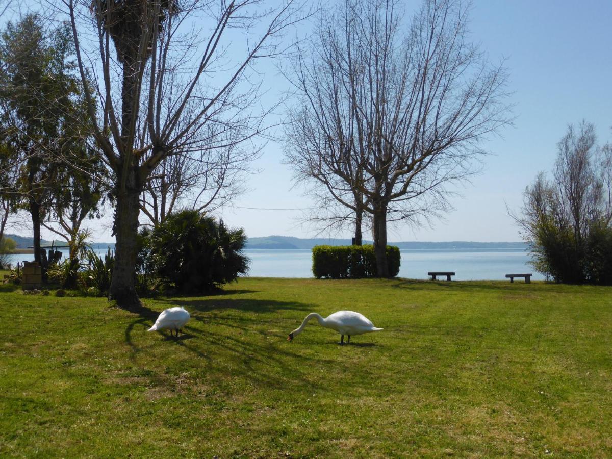 Camping Smeraldo Trevignano Romano Ngoại thất bức ảnh